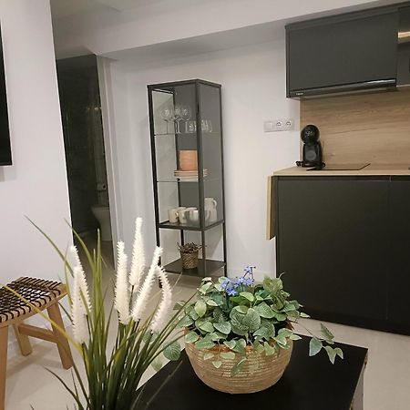 Oilan11 - Apartamento 4 مالقة المظهر الخارجي الصورة
